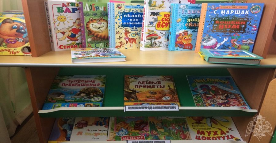 Смотр-конкурс "Книжный мир"