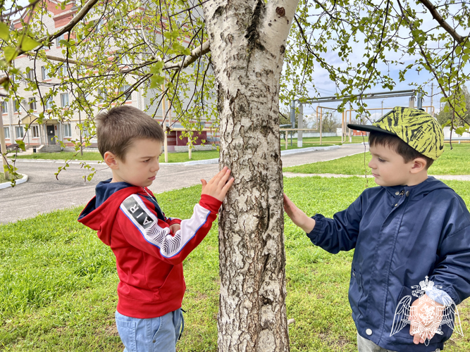 День березы.