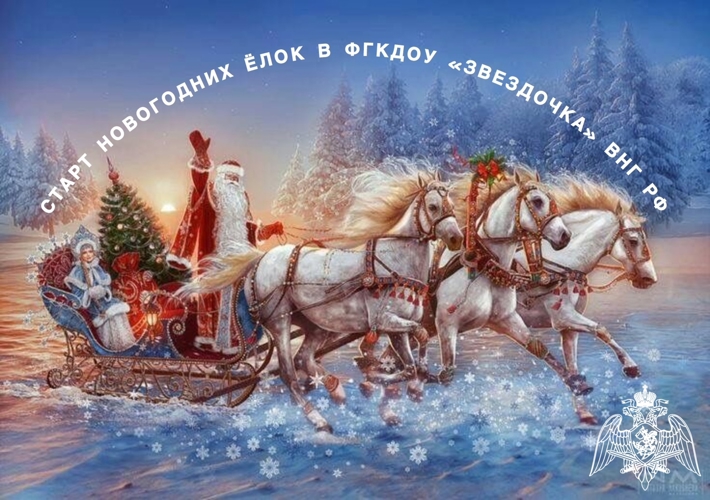 Старт Новогодних ёлок в ФГКДОУ "Звездочка" войск национальной гвардии