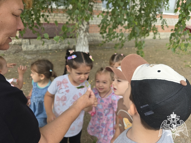 День березы в филиале № 1 детского сада "Звездочка" ст. Наурская